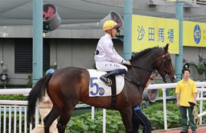 「金鎗六十」剛試閘得第五(有片睇) 網友:仲話跑二千想贏「浪漫勇士」!!!