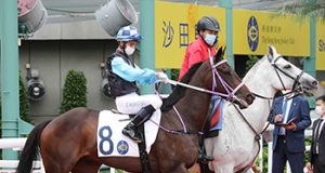 「新力高升」用金鎗跑法勝出經典盃(有片睇) 網友:如果之後「金鎗六十」同佢同場出,何SIR騎邊隻?