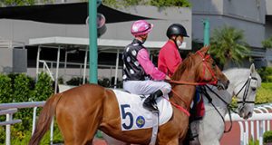 「永遠美麗」初跑千四1.3倍大熱輕鬆行過對手(有片睇) 網友:呢隻仲唔係「美麗傳承」2.0!!!