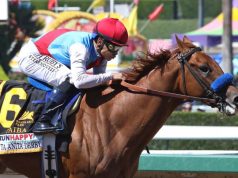 25/2/2023 沙特盃馬日心水推介 追浪熱點泥地特佳 勁哥