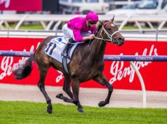 25/2/2023 諾頓錦標賽馬日心水推介 狂迷女孩以下犯上 勁哥