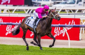 25/2/2023 諾頓錦標賽馬日心水推介 狂迷女孩以下犯上 勁哥