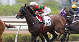 「將王」遠征成功,勝出卡塔爾酋長錦標(有片睇) 網友:沈拿騎功根本叻過晒依家香港搵食班騎師!!!