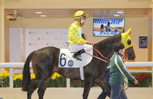 「金鑽貴人」輕鬆行過「加州星球」(有片睇) 網友:「金鑽貴人」已超越「金鎗六十」!!!