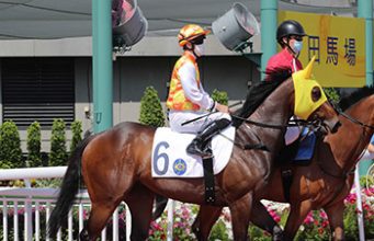 29/3/2022 沙田全泥夜賽心水推介 – 勁哥