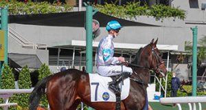 26/3/2022 沙田日馬心水推介 – 你知我拼馬房當旺 勁哥