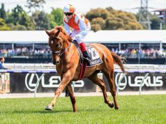 25/3/2023 鄧格錦標心水推介 勁哥