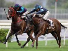 25/3/2023 杜拜世界盃賽馬日心水推介 韋小寶一戰成名 勁哥