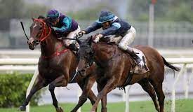 25/3/2023 杜拜世界盃賽馬日心水推介 韋小寶一戰成名 勁哥