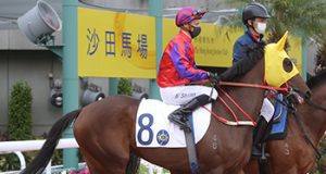 19/4/2023 快活谷夜馬心水推介 勁哥