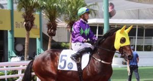 15/4/2023 沙田日馬心水推介 陽明天空贏馬交代 勁哥