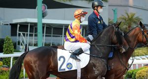 「直線力山」輕鬆行過「知足常樂」(有片睇) 網友:下季可行過「浪漫勇士」!!!