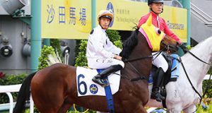 金鎗武士後上一衝過晒(有片睇) 網友:這根本是金鎗六十2.0!!!