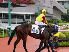 27/4/2023 晨操速遞 迎樂勇熟再進