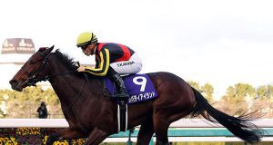 日本新馬后Liberty Island誕生,走大外疊逢馬過馬 輕鬆贏櫻花賞(有片睇)
