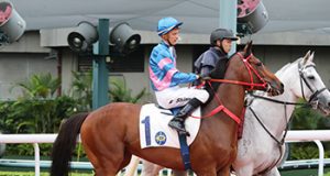 20/5/2023 新加坡及英國賽事心水推介 勁哥