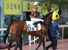 將王成功衛冕遮打盃(有片睇) 網友:潘頓隻浪漫勇士真係發揮一絕!!!