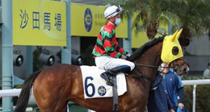 將王成功衛冕遮打盃(有片睇) 網友:潘頓隻浪漫勇士真係發揮一絕!!!