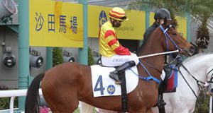 10/5/2023 沙田夜賽心水推介 勁哥