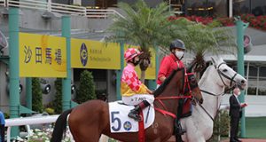 21/5/2023 沙田日賽心水推介 縱橫天下戰意必堅 90後KING仔