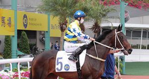 7/5/2023 沙田日馬心水推介 勁哥