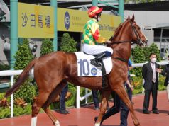 21/5/2023 沙田日賽心水推介 步大威猛質超群駒 勁哥