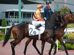 28/5/2023 遮打盃賽馬日心水推介 勁哥