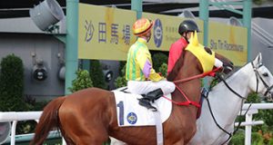 31/5/2023 谷草夜馬心水推介 勁哥