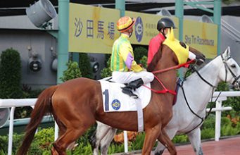 31/5/2023 谷草夜馬心水推介 勁哥