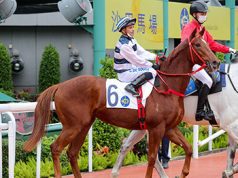 24/5/2023 快活谷夜賽跟進馬 勁哥