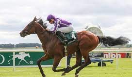 06/05/2023 英國二千堅尼賽馬日心水推介 勁哥