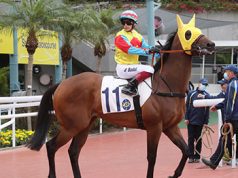 高伯新下季唔玩 網友:隻福逸點算!!!