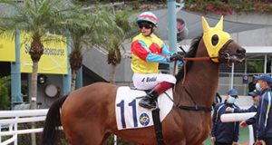 高伯新下季唔玩 網友:隻福逸點算!!!