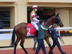 14/6/2023 谷草夜馬心水推介 勁哥