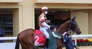 14/6/2023 谷草夜馬心水推介 勁哥