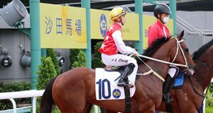 7/6/2023 快活谷夜賽推介 八駿巨星再下一城 四季醒檔好人佳 勁哥