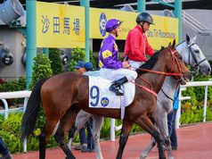 25/6/2023 沙田日馬心水推介 驕陽明駒檔好人佳 勁哥