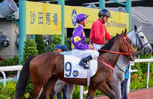 25/6/2023 沙田日馬心水推介 驕陽明駒檔好人佳 勁哥