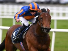 20/6/2023 皇家雅士谷 2023 帕丁頓以下犯上 皇席錦標賽馬日心水推介 勁哥