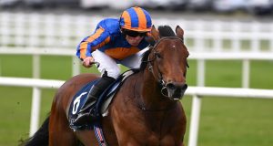 20/6/2023 皇家雅士谷 2023 帕丁頓以下犯上 皇席錦標賽馬日心水推介 勁哥