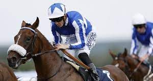 3/6/2023 葉森打吡心水推介 勁哥