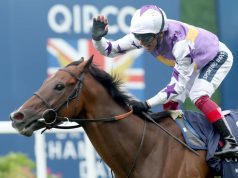 1/8/2023 古活盃賽馬日心水推介 勁哥