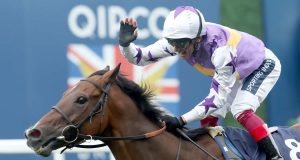 1/8/2023 古活盃賽馬日心水推介 勁哥