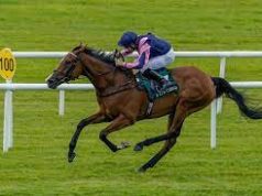 20/8/2023 尚羅萬尼錦標賽馬日 心水推介 勁哥