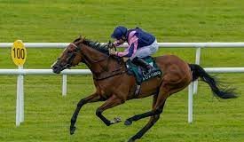 20/8/2023 尚羅萬尼錦標賽馬日 心水推介 勁哥