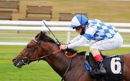 6/8/2023 法國紀爾斯大賽日心水推介 勁哥