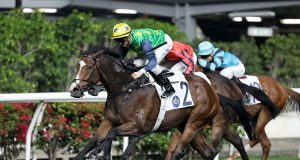 27/9/2023 快活谷夜賽心水推介 勁哥