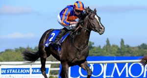 9/9/2023 愛爾蘭冠軍錦標賽馬日心水推介 勁哥