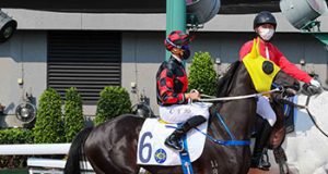 「舞林密碼」頂磅外檔照樣輕勝而回(有片睇)