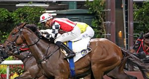 17/9/2023 沙田泥草日馬心水推介 勁哥